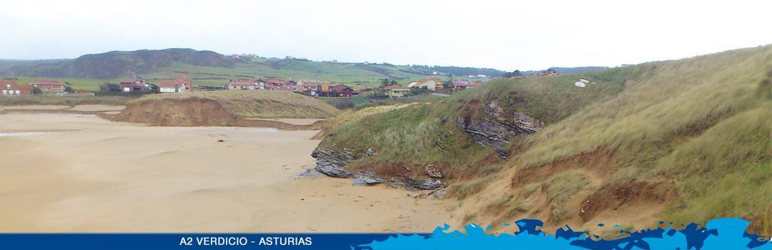 Sign up now! On 21st May 2016, we are celebrating the European Natura 2000 day by removing invasive exotic species from the dunes in Verdicio, Asturias