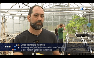 News on the TPA channel. Noticias fin de semana weekend’s news programme. Broadcasting date: 07/06/2015