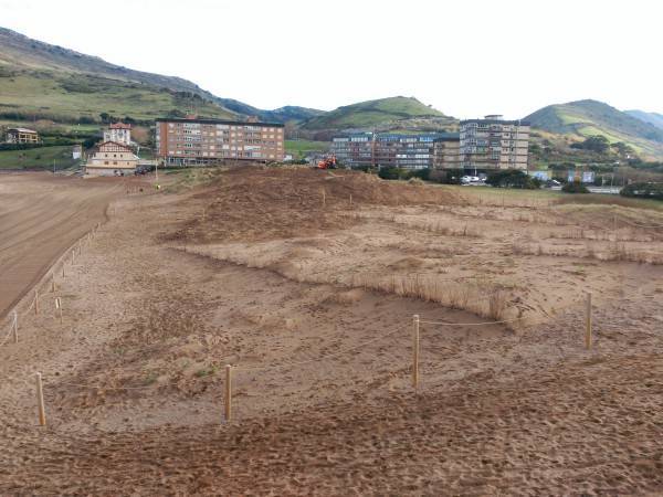Eliminación de invasoras en la playa de La Arena
