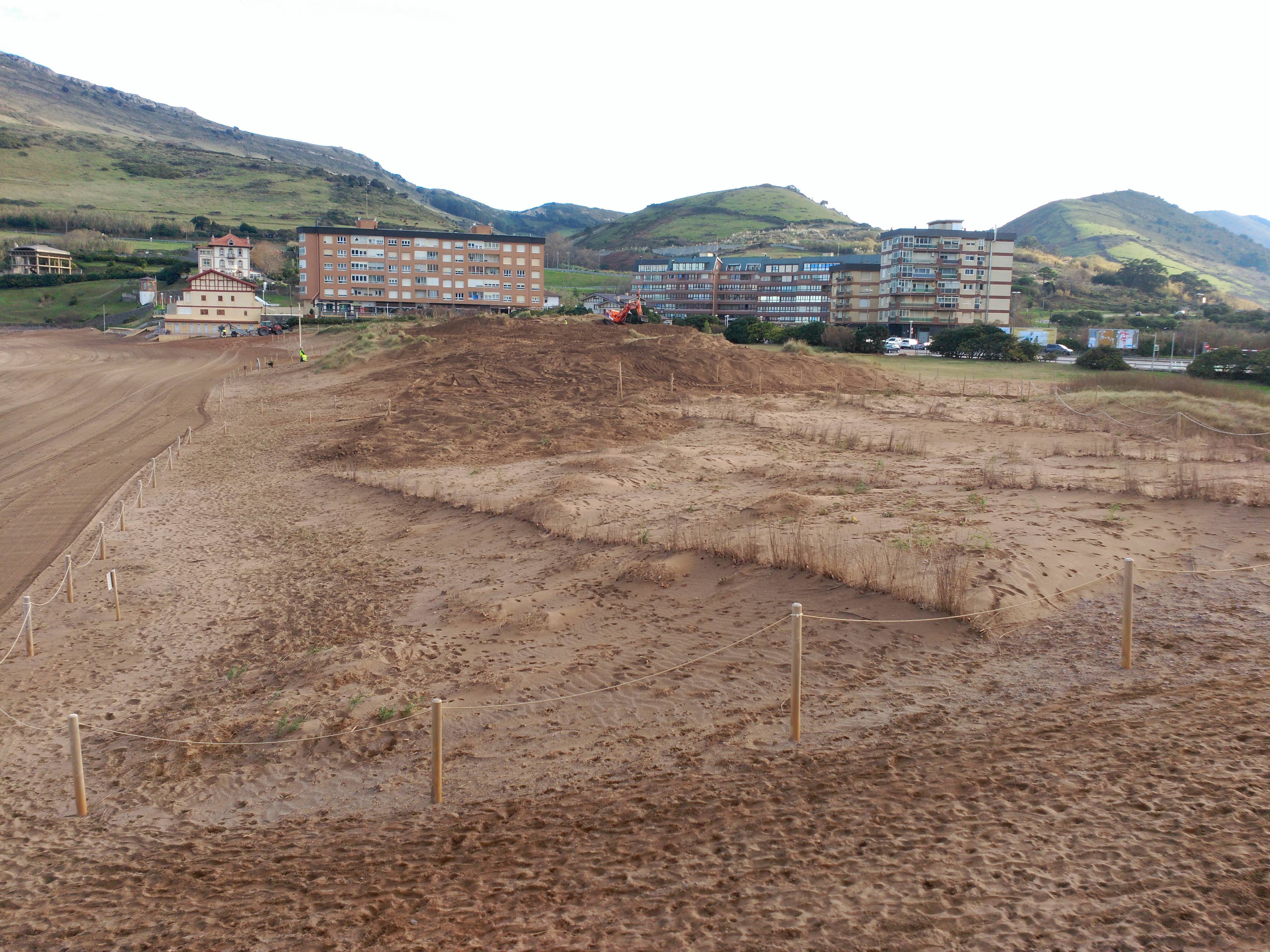 Dune habitats in La Arena (Zierbena, Bizkaia) will remove the invasive exotic species as a consequence of the actions developed by Life+ARCOS