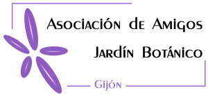 logo transparente