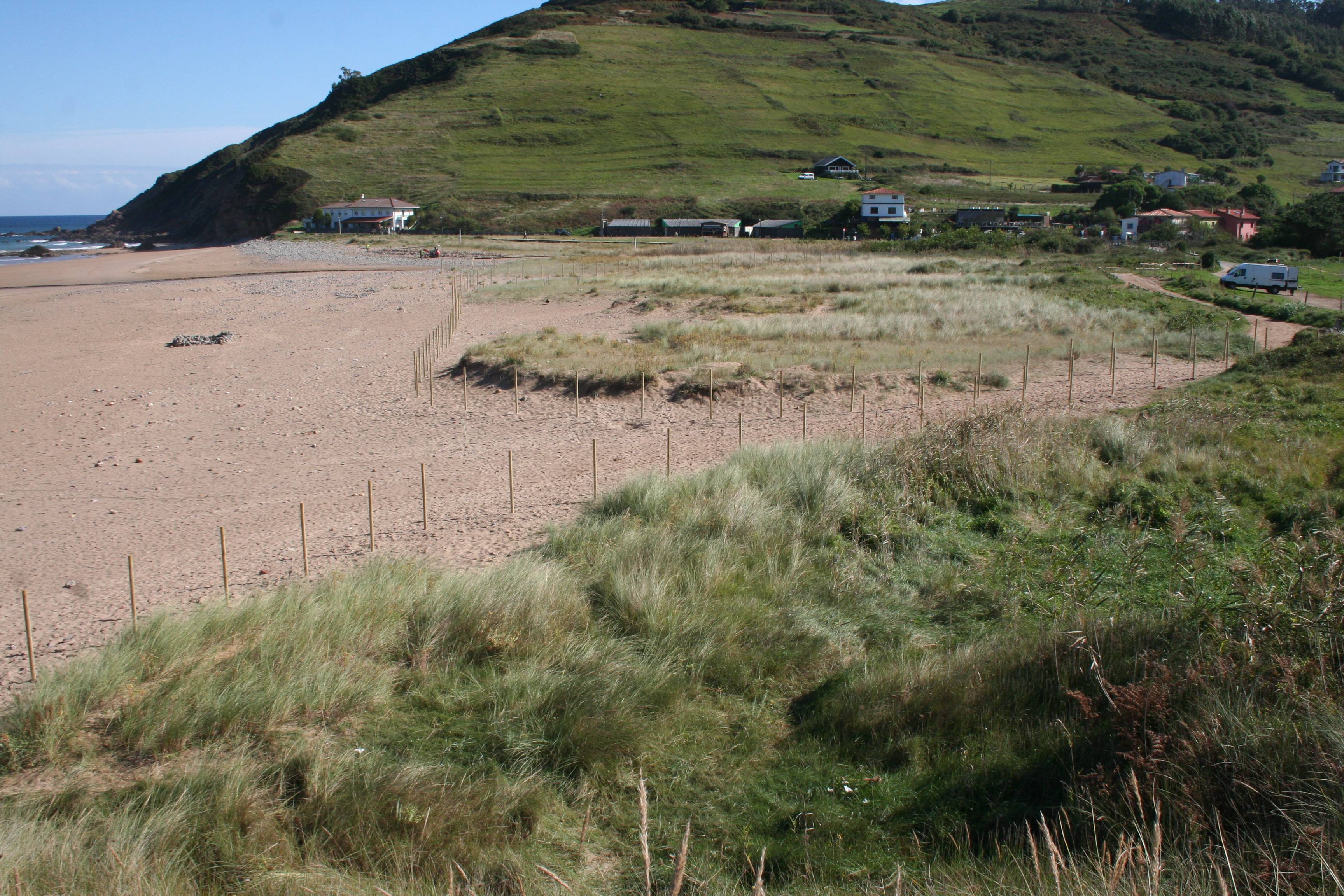 Last News! – Volunteer day to eradicate invasive plants on Vega beach dunes, Ribadesella, Asturias
