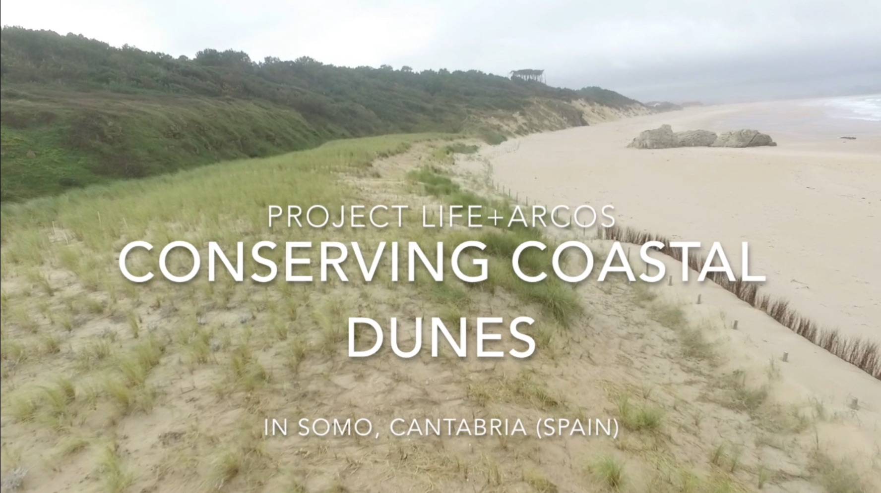 Somo dunes (Cantabria) exhibits a good conservation status after several years of conservation actions developed by Life+ARCOS