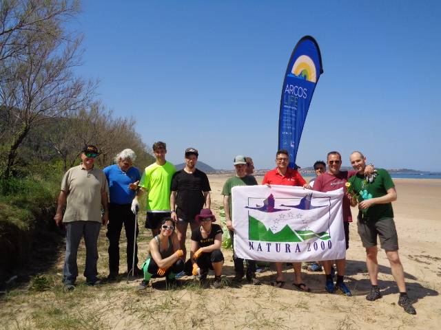 Removing ice plant, an invasive species, from Playa de Helgueras (Noja, Cantabria)