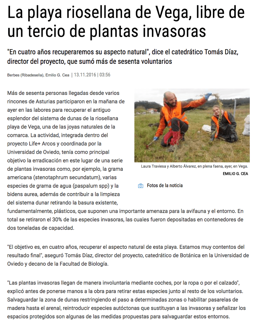 “The Ribadesella Beach of Vega, cleared of a third of invasive plants”