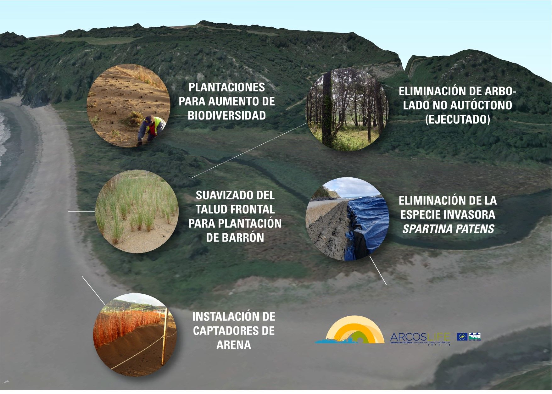 Actions taking place on the Barayo dune system (Navia-Valdés)