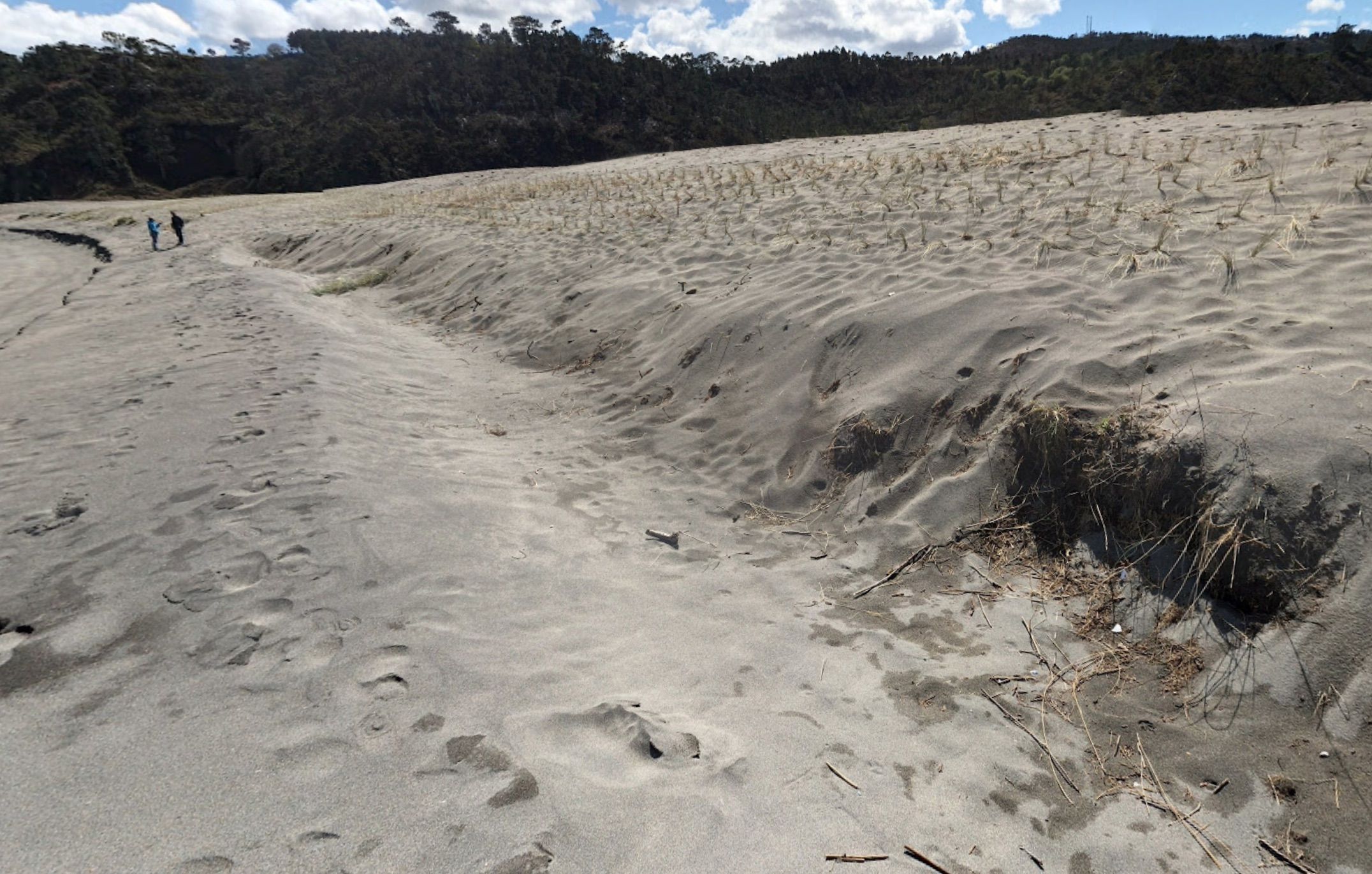 The first 360º images of the Barayo dune system before reinforcement planting.